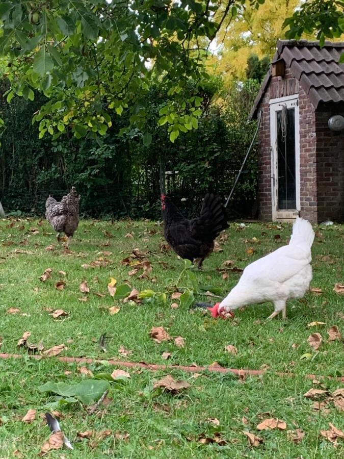 Leuk Vakantiehuisje 6P Brunssum Eksteriør bilde